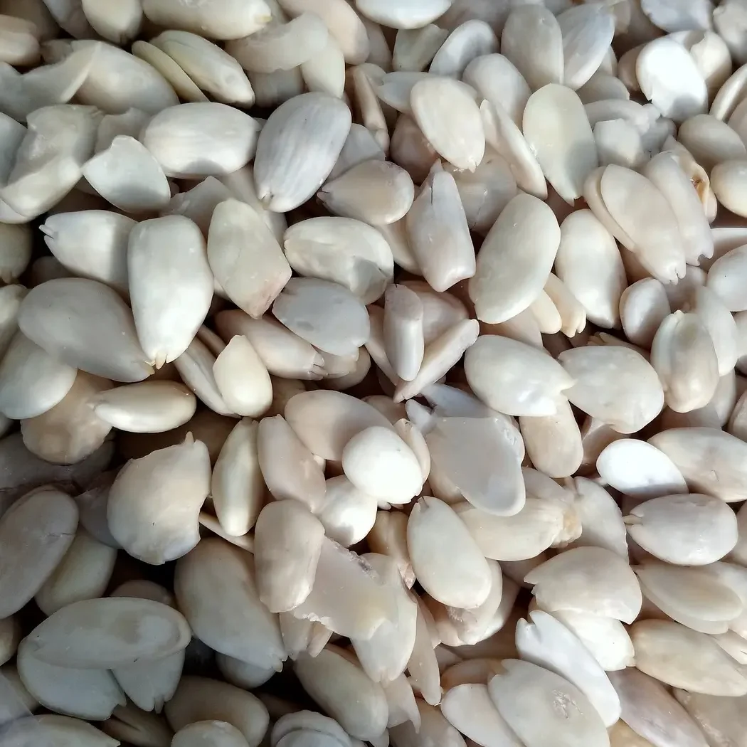 blanched almond (1)
